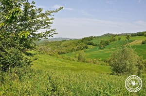 18-ausblick vom pastificio