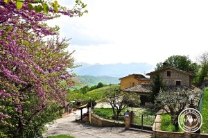 22-agriturismo