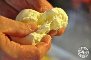 6 Mozzarella di Bufala