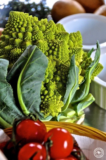 6-romanesco der grosse