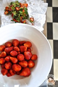 erdbeeren 3